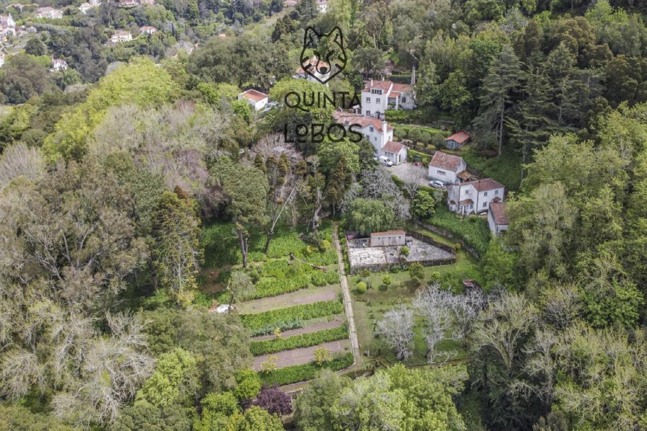 Quinta Dos Lobos Boutique Hotel - Nature Experience Sintra Exterior photo